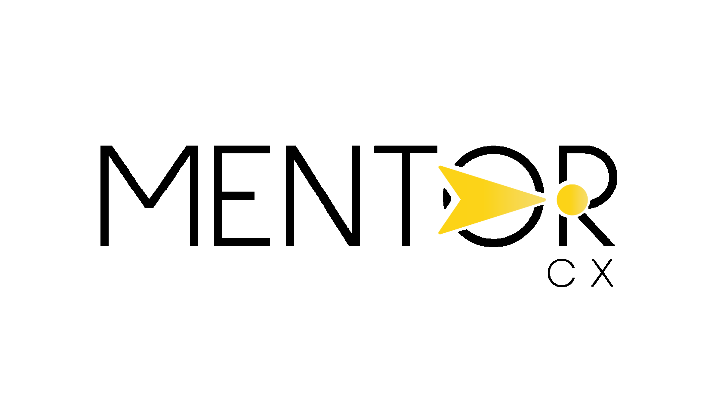 Customer Experience (CX)